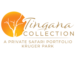 Tingana CollectionScaled Tingana CollectionScaled